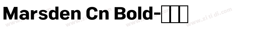 Marsden Cn Bold字体转换